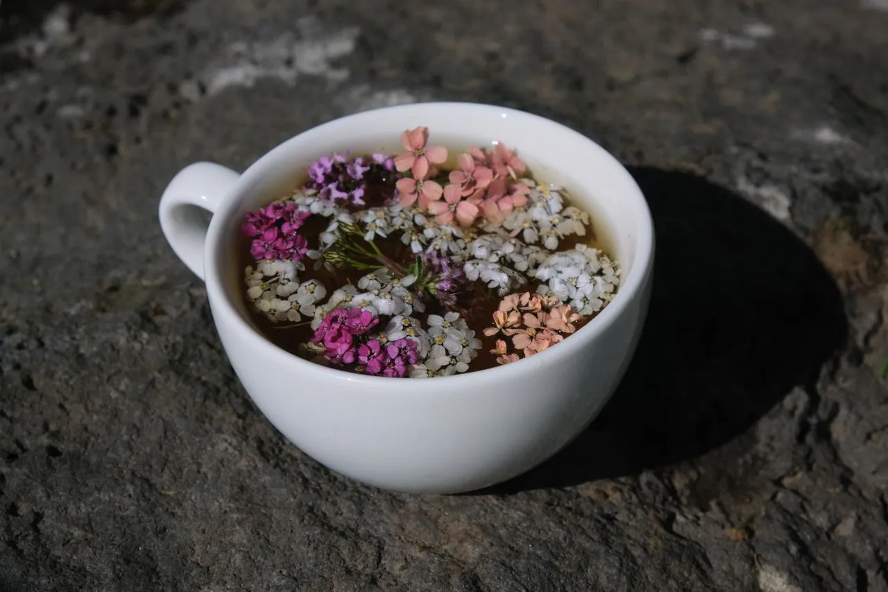 photos-page-21-flower