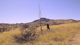 texas-canyon